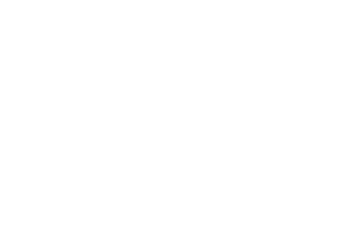 KONTAKT  Baumschule Hansjochen Ringel Steenwischtwiete 7 25488 Holm
